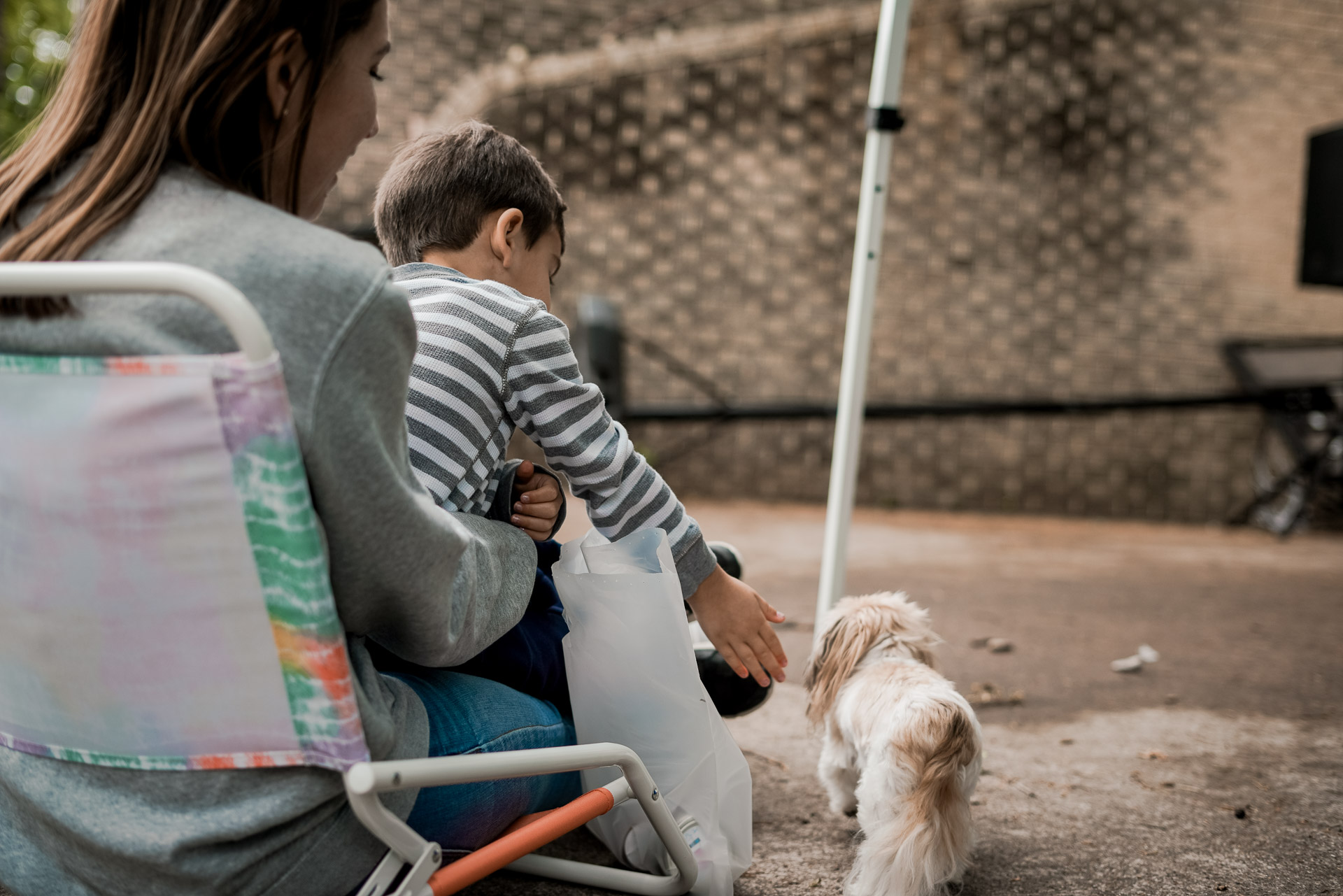 A woman and child sitting, hand reached out to pet a small dog
