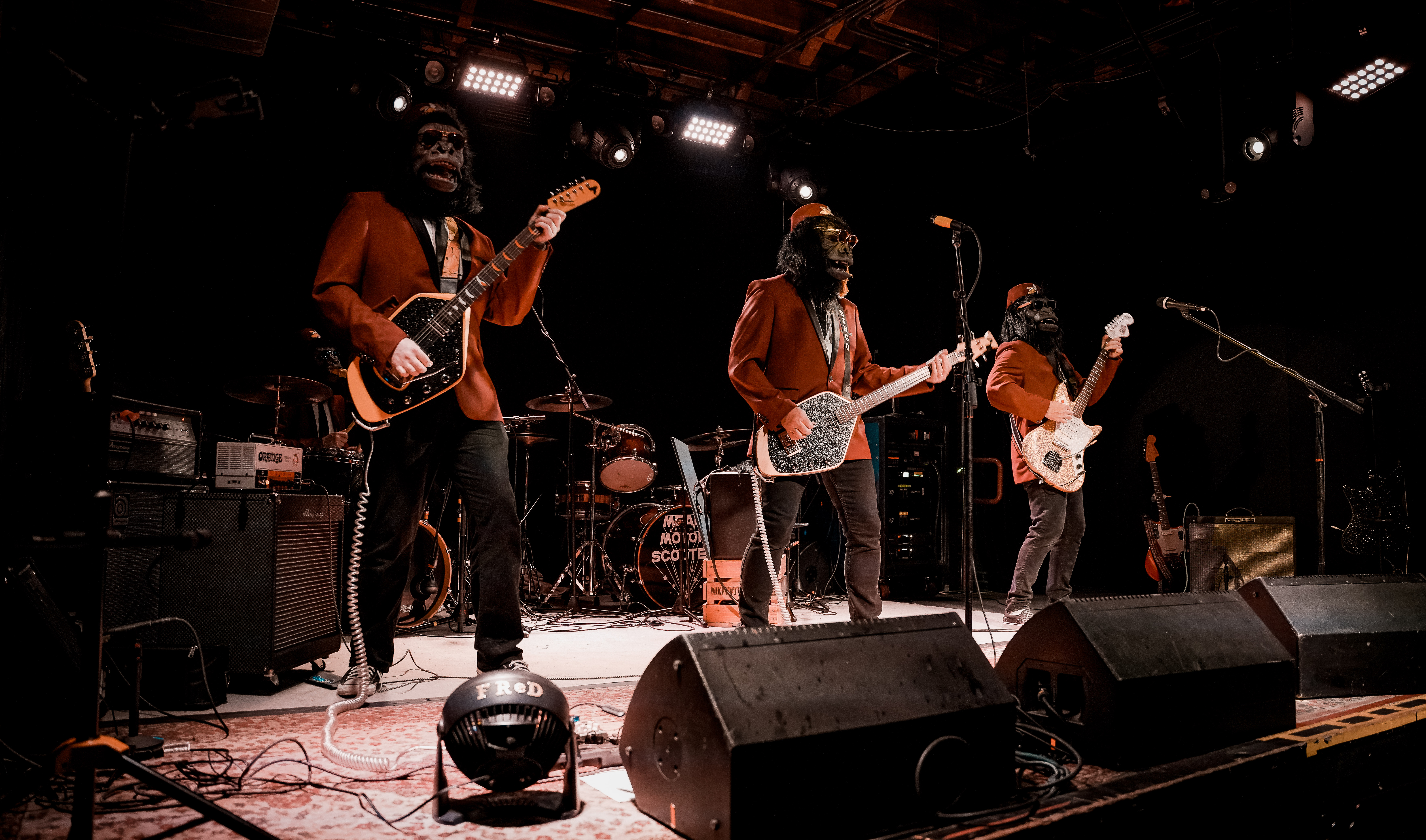 a full band on stage wearing gorilla costumes
