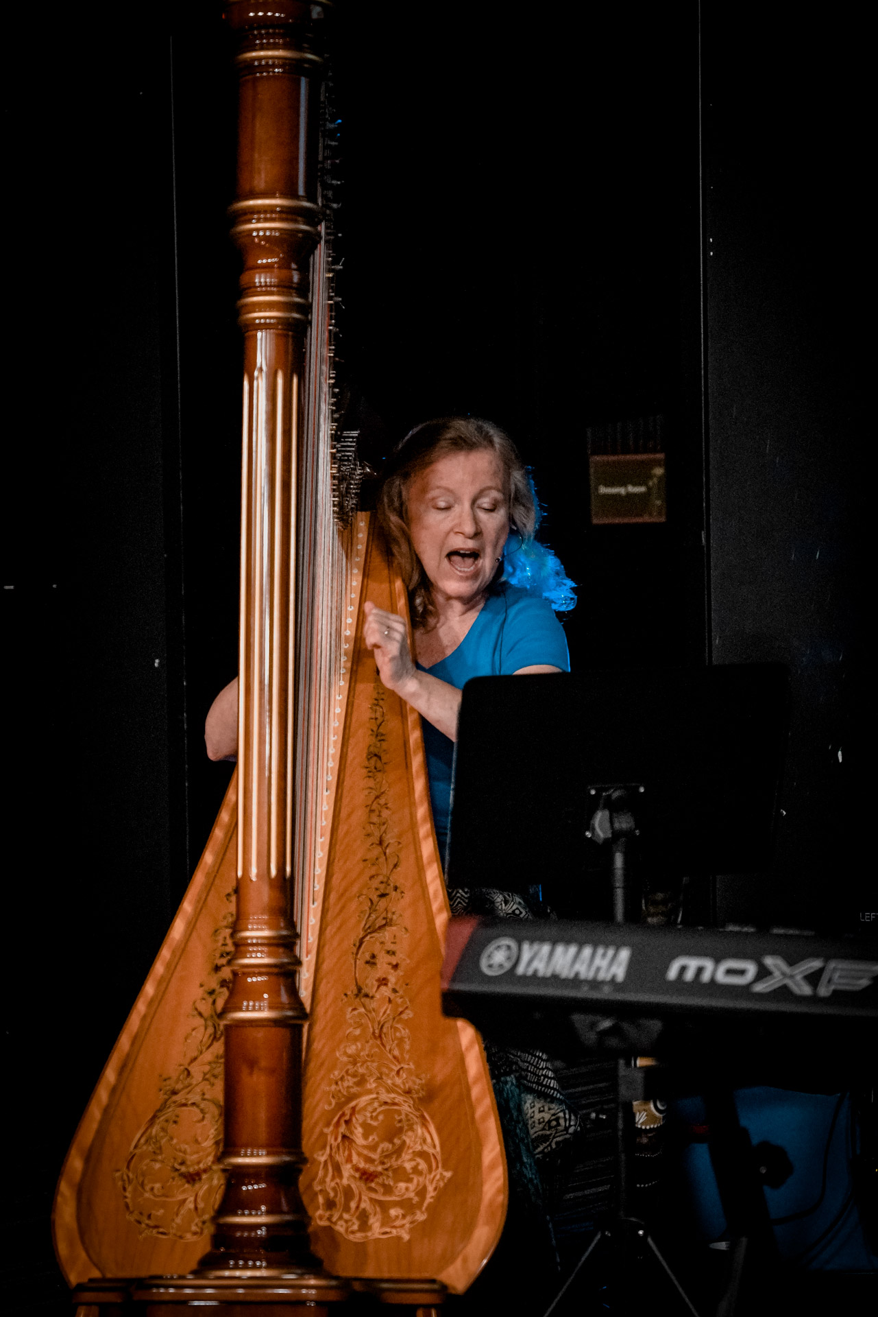 A harpist on stage